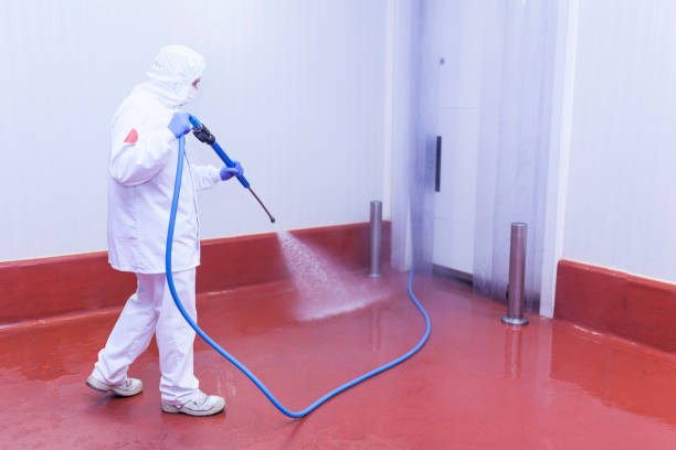 Best Driveway Pressure Washing  in Hasley Nyon, CA
