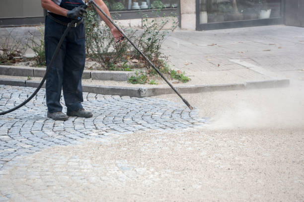 Animal Enclosure Cleaning in Hasley Canyon, CA