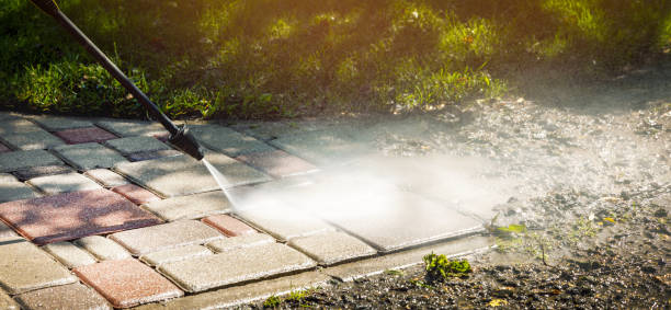 Best Soft Washing  in Hasley Nyon, CA